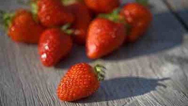 Zuckerpeeling selber machen – Erdbeerig süß!