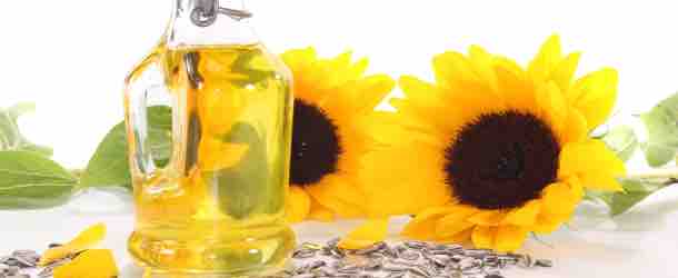 Das milde und pflegende Öl der Sonnenblume